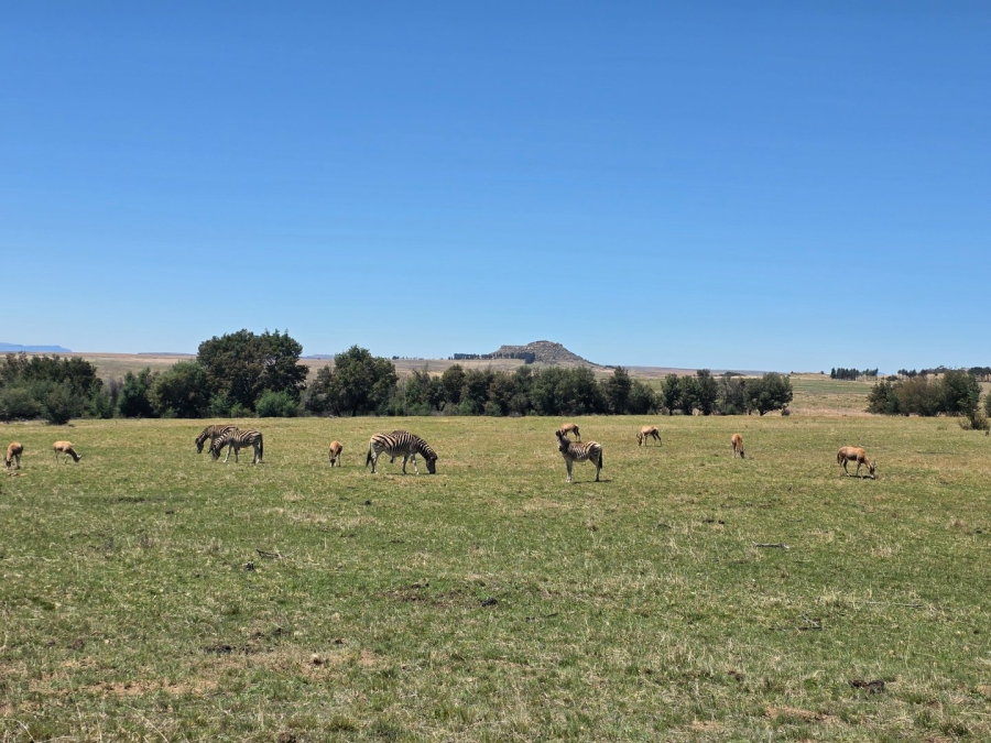 Commercial Property for Sale in Bethlehem Free State